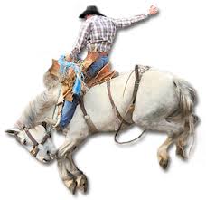 A rodeo rider